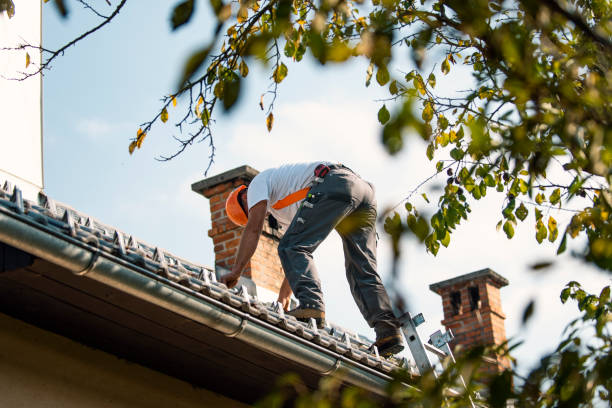Best New Roof Installation  in Rossville, IN