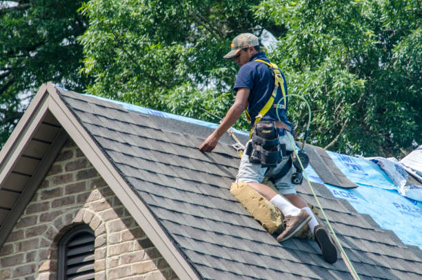 Best Flat Roof Repair Services  in Rossville, IN